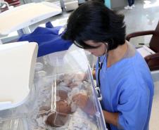 Dia da Segurança do Paciente: Paraná reforça cuidados a recém-nascidos e crianças