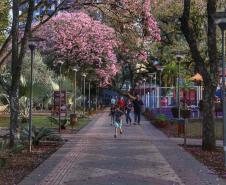 Pólen, umidade e temperatura: primavera aumenta riscos de alergias respiratórias