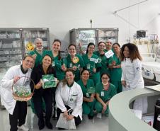 Paraná fortalece a Segurança do Paciente com ações em todo o Estado