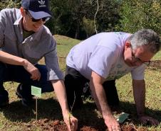 Setembro Verde levou conscientização sobre doação de órgãos no Paraná