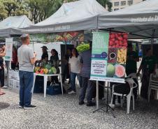 Ação sensibiliza população sobre a importância de uma alimentação saudável e sustentável