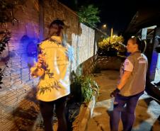 Ações noturnas resultam na captura de 3,3 mil escorpiões na região de Jacarezinho