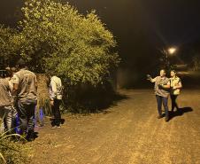 Ações noturnas resultam na captura de 3,3 mil escorpiões na região de Jacarezinho