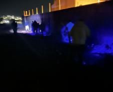 Ações noturnas resultam na captura de 3,3 mil escorpiões na região de Jacarezinho