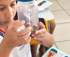 Força-tarefa contra escorpiões mantém mobilização e leva orientação às escolas