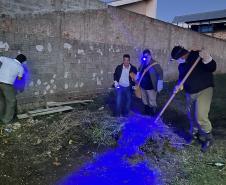 Ações noturnas resultam na captura de 3,3 mil escorpiões na região de Jacarezinho