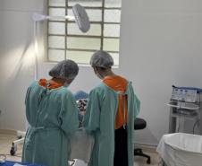 Hospital de Dermatologia Sanitária faz 99 anos como referência em doeças de pele
