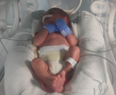 Prematuridade: Paraná reforça compromisso com o cuidado contínuo aos recém-nascidos