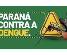 Paraná tem redução de casos e mortes por dengue maior do que a média nacional em 2025