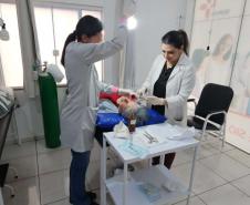 400 profissionais de saúde foram mobilizados para atender vítimas do tornado em Rio Bonito do Iguaçu