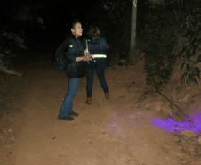 Ações da Saúde no Norte Pioneiro capturam mais de 5 mil escorpiões desde agosto