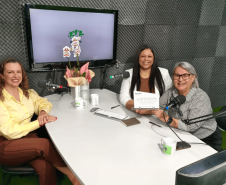 Sesa lança curso EaD para fortalecer a Linha de Cuidado à Saúde da Pessoa Idosa