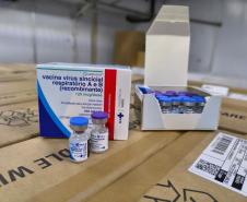 Primeiras vacinas contra o vírus sincicial respiratório chegam ao Paraná
