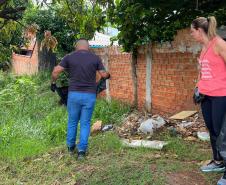 Vai viajar? Saúde alerta sobre cuidados para evitar a dengue em casa e no local de destino