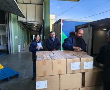 Primeiras vacinas contra o vírus sincicial respiratório chegam ao Paraná