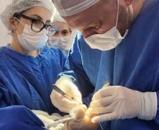 Programas estratégicos reforçam regionalização e ampliam acesso à saúde no Paraná