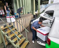 Paraná inicia a distribuição da vacina contra o Vírus Sincicial Respiratório para o Interior