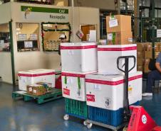 Paraná inicia a distribuição da vacina contra o Vírus Sincicial Respiratório para o Interior