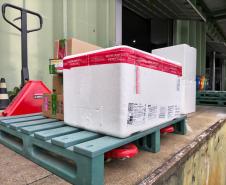 Paraná inicia a distribuição da vacina contra o Vírus Sincicial Respiratório para o Interior