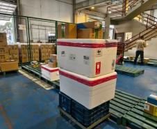 Paraná inicia a distribuição da vacina contra o Vírus Sincicial Respiratório para o Interior