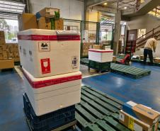 Paraná inicia a distribuição da vacina contra o Vírus Sincicial Respiratório para o Interior