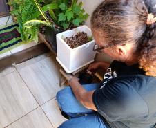 Vai viajar? Saúde alerta sobre cuidados para evitar a dengue em casa e no local de destino