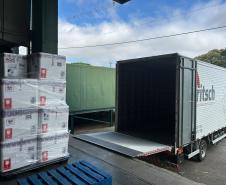 Paraná ofertará novo medicamento para prevenir vírus sincicial em bebês em fevereiro