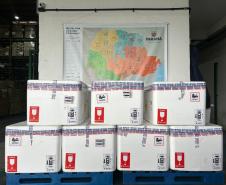 Paraná ofertará novo medicamento para prevenir vírus sincicial em bebês em fevereiro