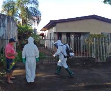 Sesa inicia novo período epidemiológico da Dengue