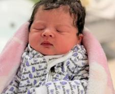 27 bebês nasceram nas novas maternidades do Paraná neste início de 2026