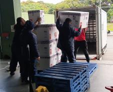 Paraná ofertará novo medicamento para prevenir vírus sincicial em bebês em fevereiro