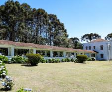 Paraná amplia rede hospitalar e bate recordes de cirurgias, exames e internamentos