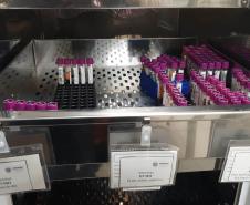 Fevereiro Laranja: mês da conscientização sobre leucemia reforça importância do diagnóstico