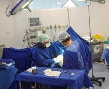 Com 786 mil cirurgias eletivas, Paraná alcança recorde de procedimentos em 2025