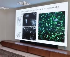 Paraná já tem 8 aplicações de polilamimina; Ratinho Junior recebe médicos e reforça apoio à pesquisa