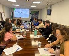 Paraná sedia debate regional sobre vigilância e resposta a emergências em Saúde Pública