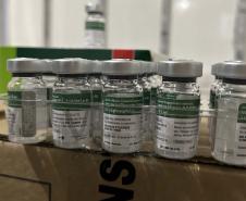 Paraná recebe 332 mil vacinas contra a gripe para início da campanha no próximo sábado