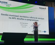 Estado, União e municípios debatem fortalecimento da Atenção Primária à Saúde