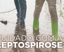 Com expectativa de chuvas acima da média, Saúde reforça cuidados contra a leptospirose no outono