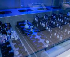 Hemepar passa a fazer testes sorológicos para aumentar segurança em transplantes