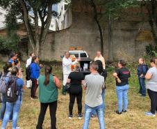 Casos e mortes por dengue no Paraná caem mais de 96% nos primeiros meses de 2026