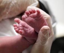 Paraná ampliará triagem neonatal e reforçará diagnóstico precoce com rastreio de 51 doenças
