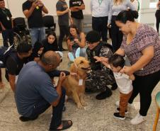 Hospital de Reabilitação inicia projeto de terapia de pacientes com cães da PMPR