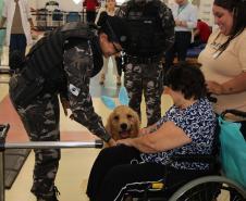 Hospital de Reabilitação inicia projeto de terapia de pacientes com cães da PMPR