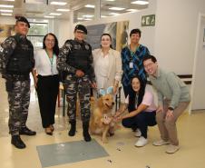 Hospital de Reabilitação inicia projeto de terapia de pacientes com cães da PMPR