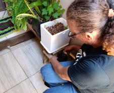 Combate: Paraná monitora arboviroses com sistema eficiente e de baixo custo