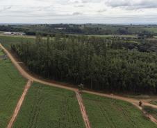 Estado inaugura hospital em Terra Boa e anuncia investimentos para pavimentação rural