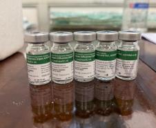 Cuidado com quem cuida: servidores da Saúde participam de ação de vacinação no Paraná