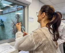 Cuidado com quem cuida: servidores da Saúde participam de ação de vacinação no Paraná