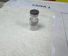 Cuidado com quem cuida: servidores da Saúde participam de ação de vacinação no Paraná